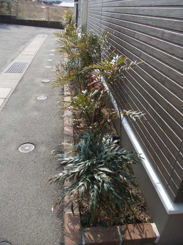 オハナ　ハレのその他