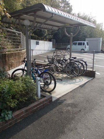 オハナ　ハレのその他