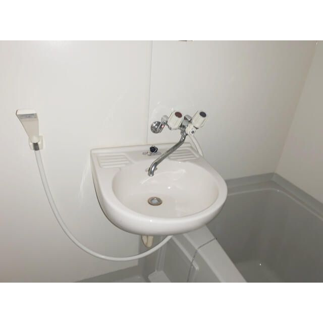 メゾンルシエールの洗面所