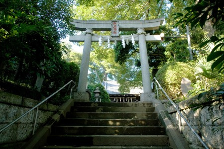 練馬区氷川台４丁目の賃貸マンションの周辺