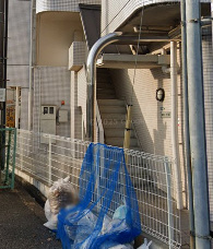 楽友コーポ3号館のエントランス