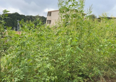 【外観】 | 愛名売地 | 土地を買う際、住む地域の自治体や福祉の補助制度にも注目してみましょう。子供や老人の医療補助やゴミ出しのルールなど、自治体によってルールに大きな違いがあるため、暮らしやすい土地で判断するとよいでしょう。