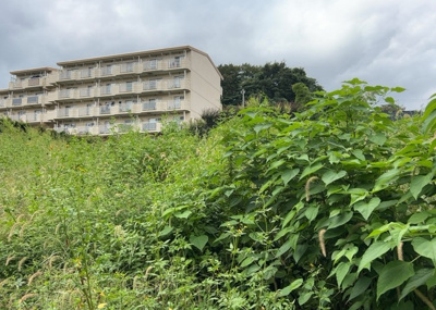 【外観】 | 愛名売地 | 家を建てる前提で土地を探している場合、地盤の丈夫さは譲れない条件の一つです。地盤が脆弱だと追加工事が必要となります。また、過去に地盤沈下や液状化現象を起こした土地は、できるだけ避けた方がいいでしょう。