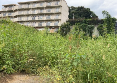 【外観】 | 愛名売地 | 人が暮らすうえで日光は大切な要素となります。日当たりの良さは譲れないポイントですね。併せて近くに大きな建築物の建築予定がないか、あるいはそれが可能な土地が近くにないか事前に確認することもお勧めします。