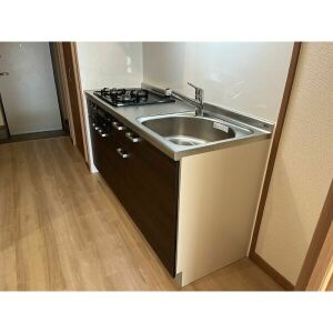 Laputa youのキッチン