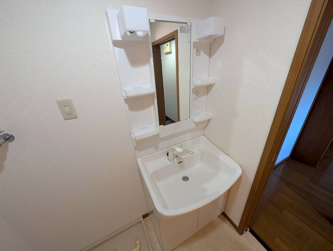 グリーンコート西田の洗面所