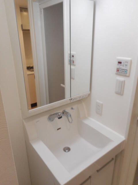 リエトコート向島の洗面所
