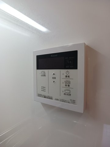 マンス　シャンのその他