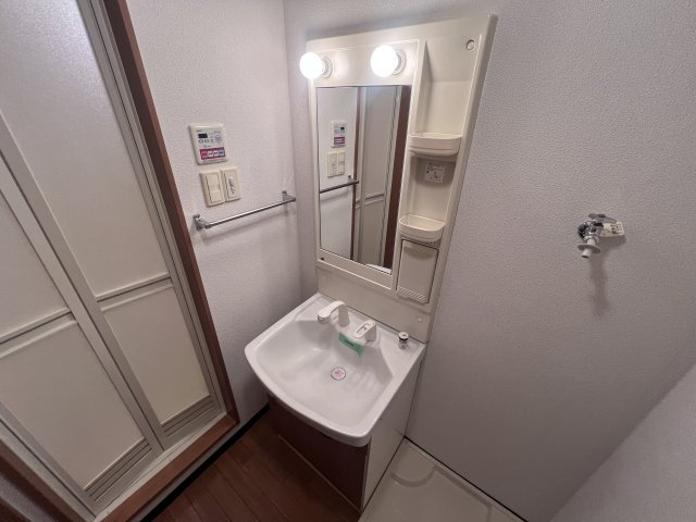 シャンピアの洗面所