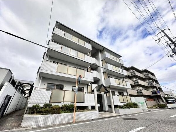シロハイヌ武庫元町