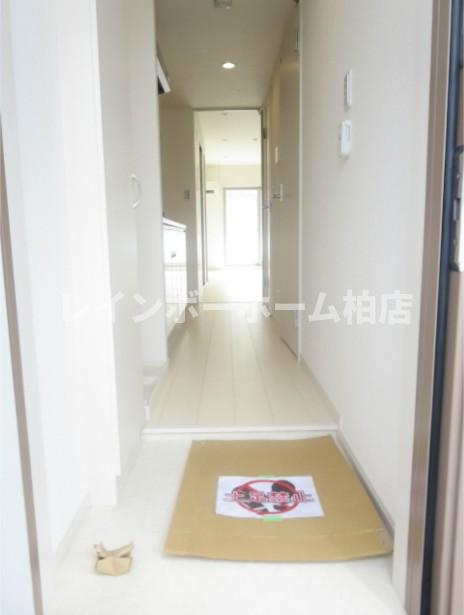 【仲介手数料：50％OFF】対象物件！の玄関|玄関です