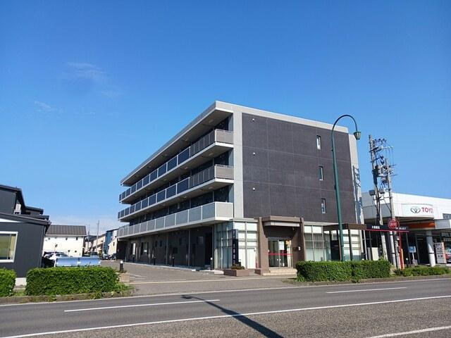 プラシードの外観