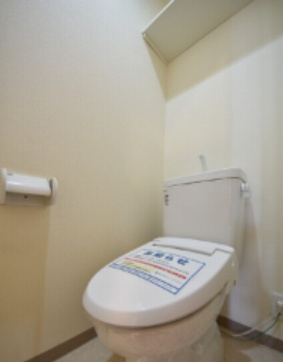 セレ　グレージュのトイレ|※お写真は同じ間取の別号室の物です。