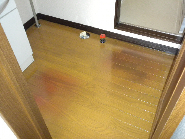アプローズⅢの洗面所