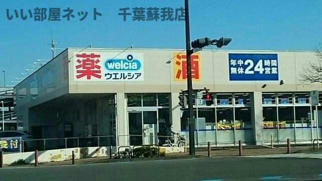 イリスのその他