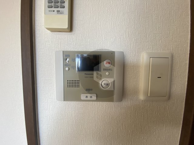 アンギンルマのその他