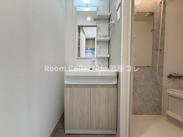 S-RESIDENCE金山flap(フラップ)　の洗面所