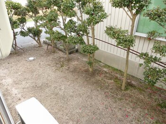 西部ハイツの庭