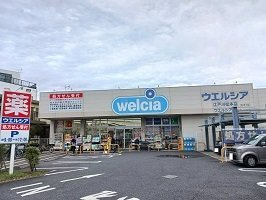 プロシード　アンジュの周辺|ウエルシアまで850m