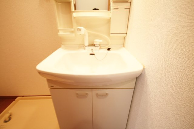 パークハイムの洗面所