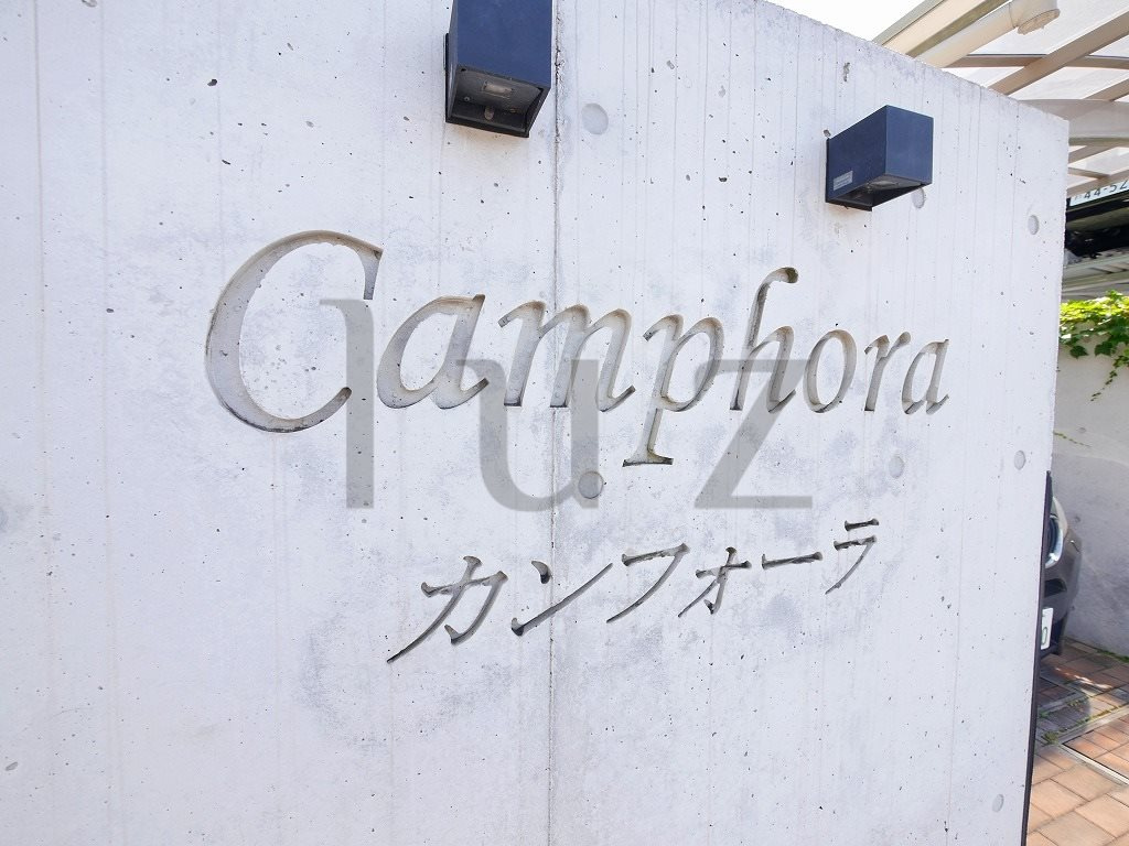 カンフォーラのその他