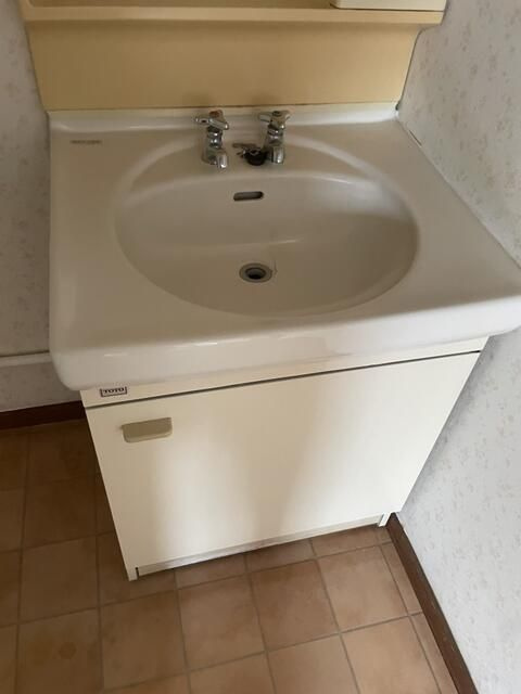 フラワーイン宮本の洗面所