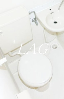 【トイレ】 | アポロ鷺宮Ⅱ | トイレです。