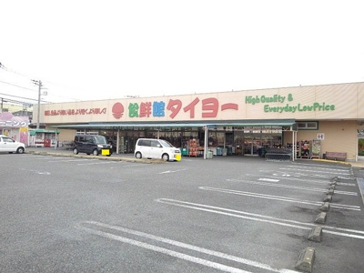 【周辺】 | サニーフラットⅠ | 食鮮館タイヨー　荒田島店まで1000m