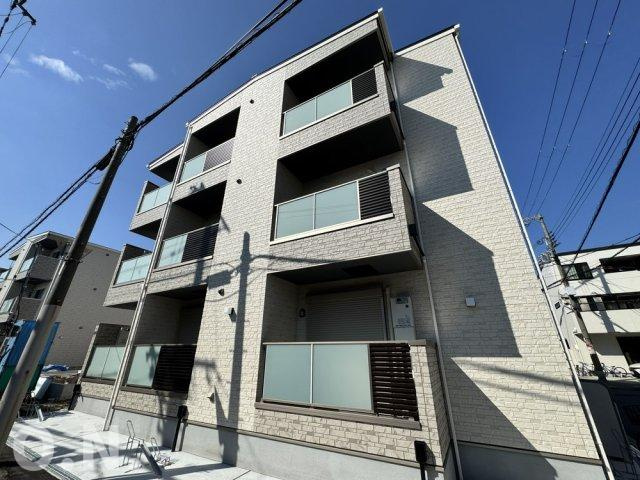 F asecia copperの外観