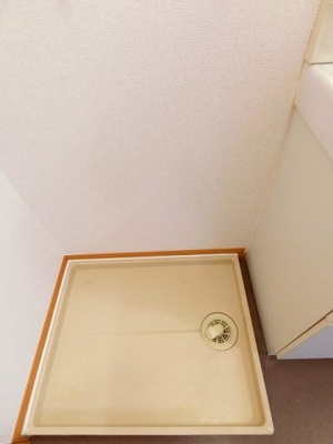 【その他】 | コスモス