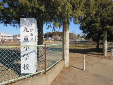 ラフィーネの周辺|九重小学校まで1200m