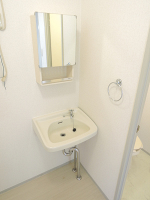 洗面台（他のお部屋の写真です）