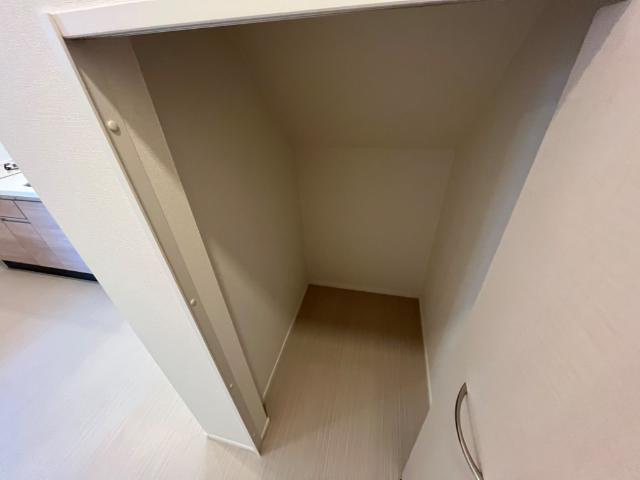 コンビデンス Ⅱの収納|収納