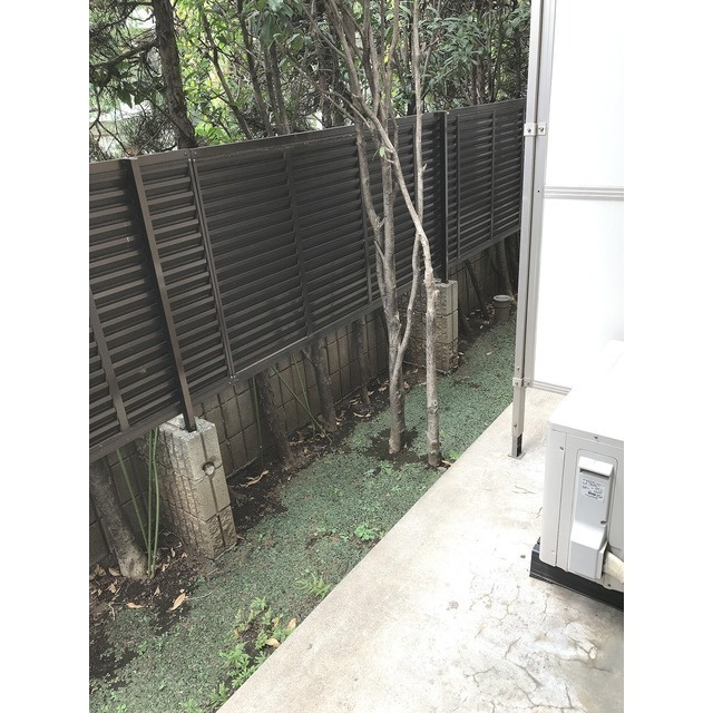 立花ハイツの庭