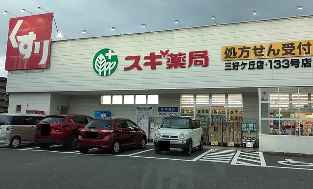 リンム三好ヶ丘の周辺|スギ薬局まで1100m