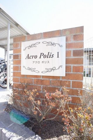 Ａｃｒｏ　ｐｏｌｉｓⅠのその他