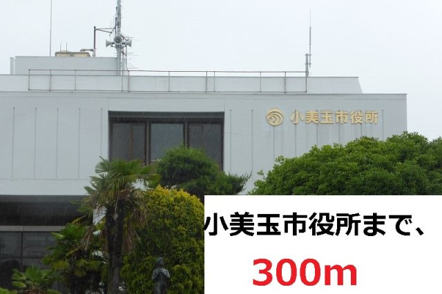 グレイスフルⅡの周辺|小美玉市役所まで300m