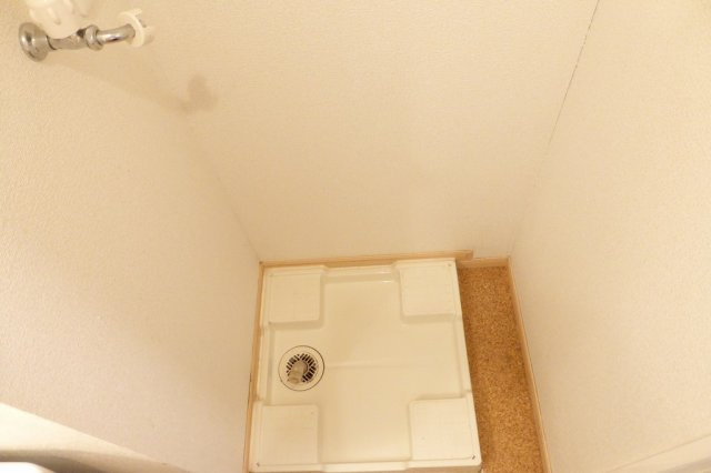 モーニンググローリーのその他