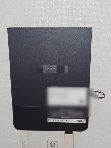 ドラセナＢのその他