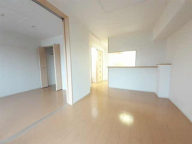 ファレノプシス　Ｂのその他