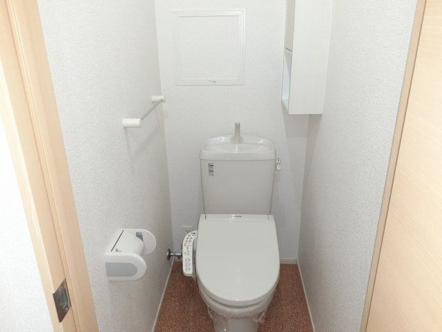 ファレノプシス　Ｂのトイレ