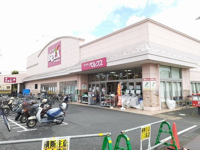 ヴィラ小塚山の周辺|ベルクスまで850m
