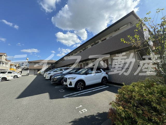 alcyoneのその他