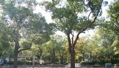 グランツ築地の周辺|高松中央公園さんまで900m
