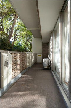 藤沢市鵠沼橘１丁目の賃貸マンションのバルコニー