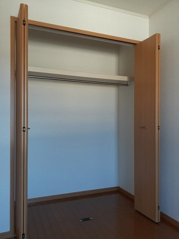 プラシードの収納