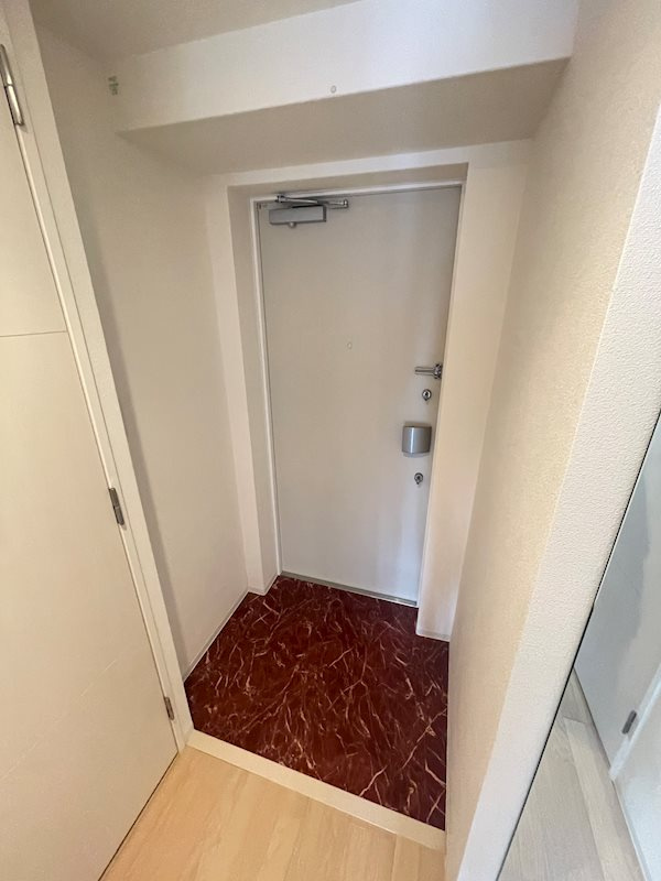 マリンズ心斎橋Ⅲの玄関