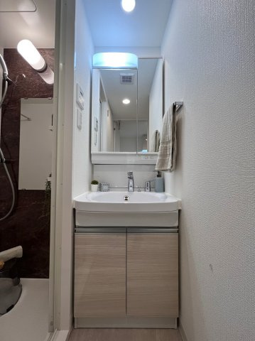 アドバンス上町台シュタットの洗面所