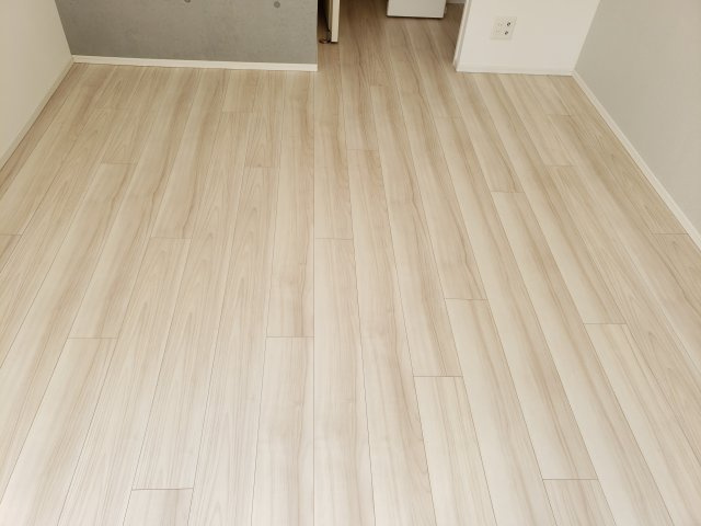 レアライズ新小岩の居間・リビング