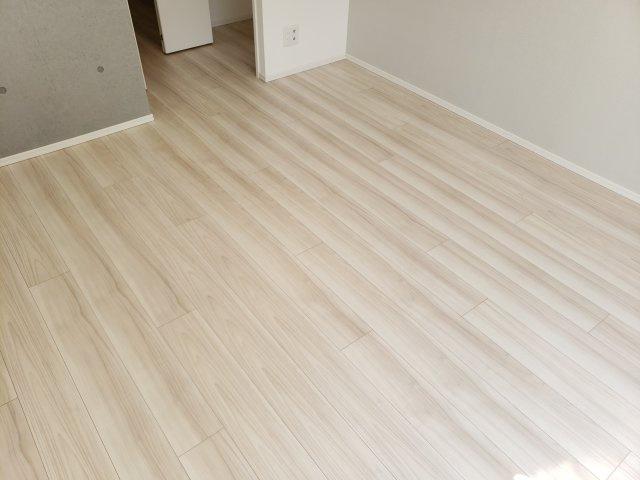 レアライズ新小岩の内装